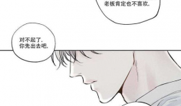 免费黄动漫,免费黄动漫的奇幻之旅