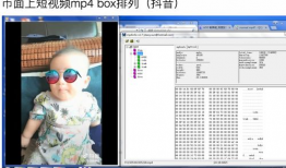 短视频mp4,短视频MP4内容精华速览
